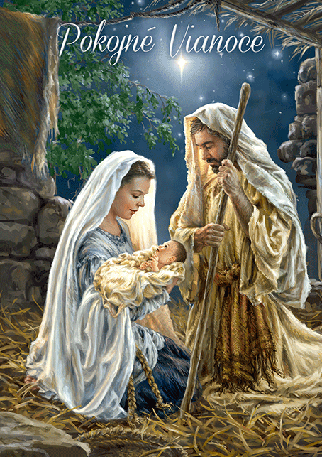 0611-0312s Pohľadnica vianočná 3D SK