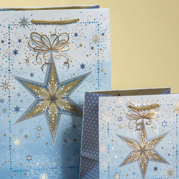 0859-0159 Gift bag LUX