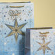0859-0159 Gift bag LUX