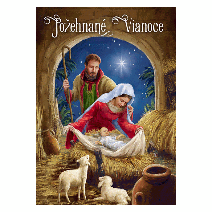 0611-0314s Pohľadnica vianočná 3D SK