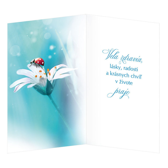 15-6550 Greeting card SK