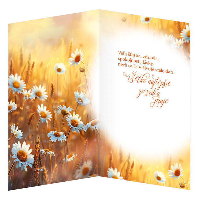 55-607 Greeting card SK