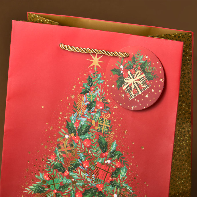 0829-0169 H Gift bag for vine LUX