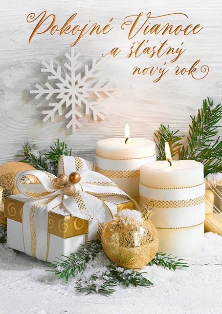 0611-0319s Pohľadnica vianočná 3D SK