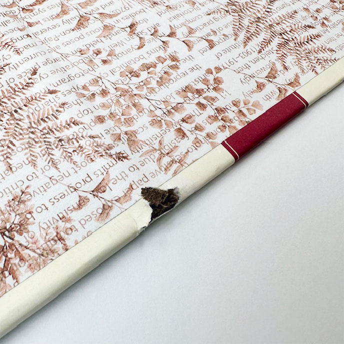 1671-0409-1  Ring binder A4 Simply