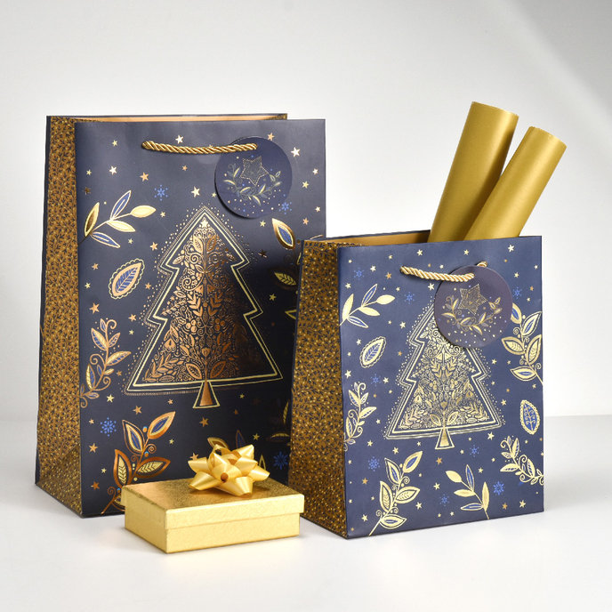 0849-0166 H Gift bag LUX