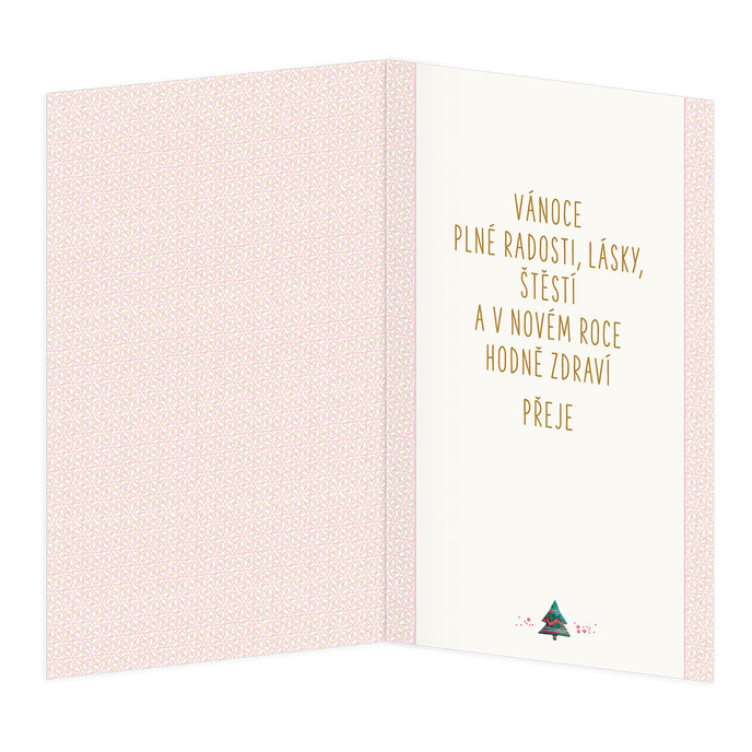 11-6535 Christmas greeting card CZ