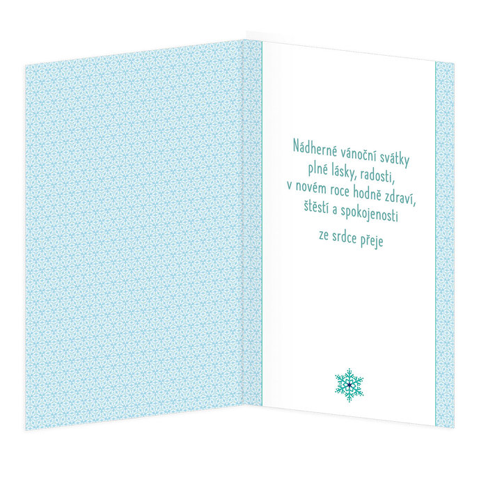 11-6538 Christmas greeting card CZ