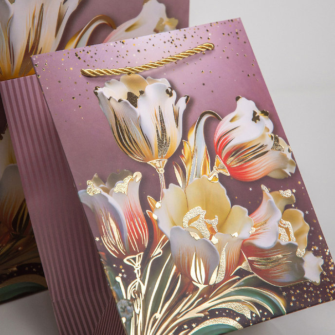 0789-9801 Gift bag LUX