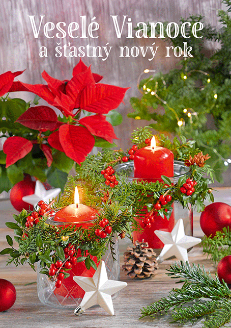 0611-0335s Christmas postcard 3D SK
