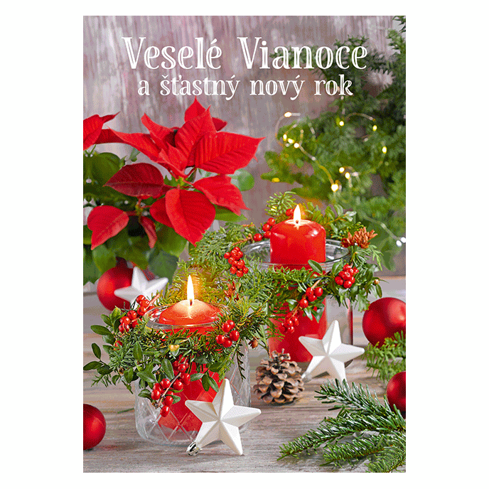 0611-0335s Christmas postcard 3D SK