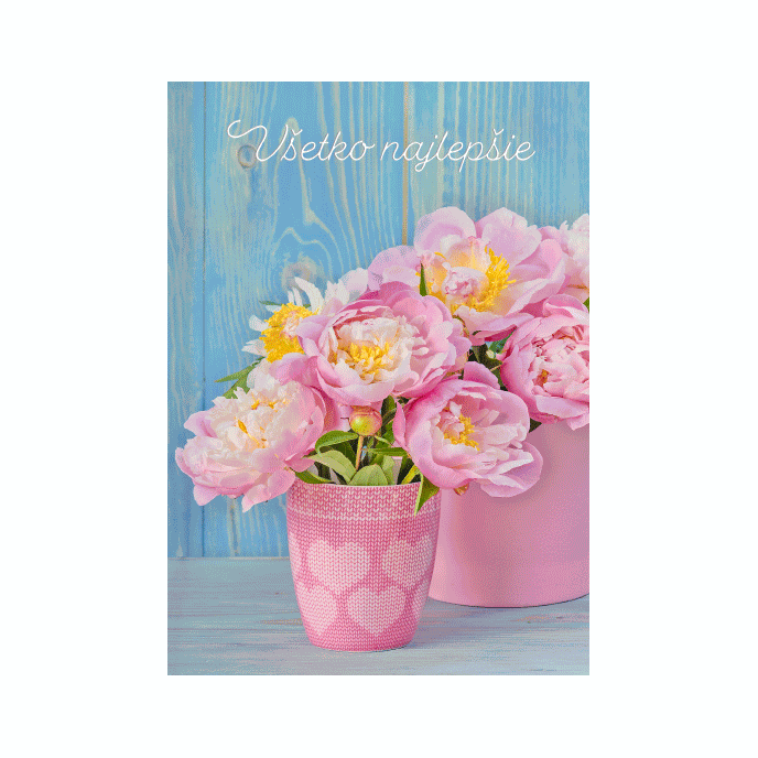 75-9019 Greeting card 3D SK