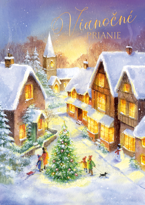 71-9017 Christmas greeting card 3D SK