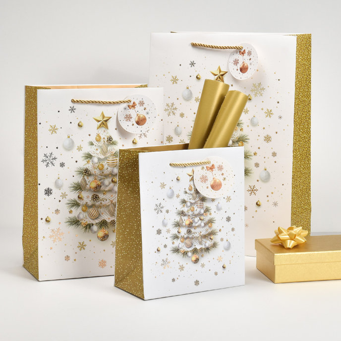 0889-0168 Gift bag LUX