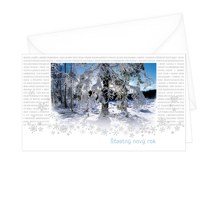 11-783 Christmas greeting card SK