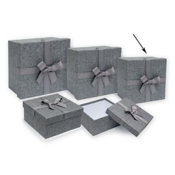 2510-0131 Gift box 20x20x7cm /2500-8131/