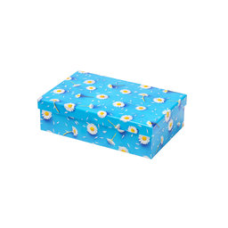 2536-0155 Gift box 18,6x11,7x5,3cm /2500-8155/