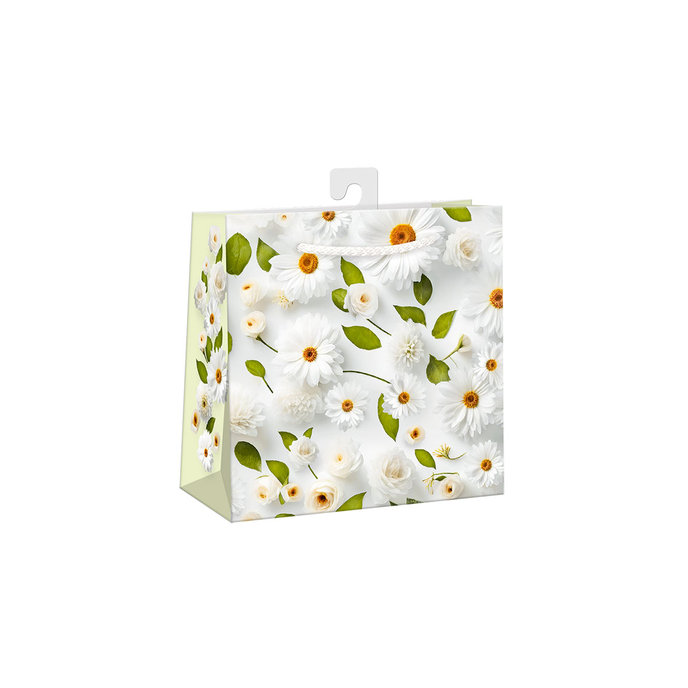 0727-0793 H Gift bag Shiny