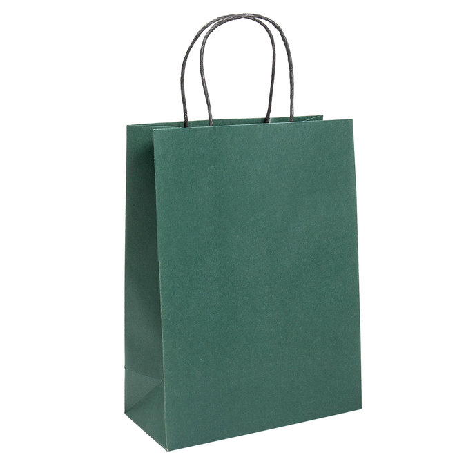 7758-0005 Gift bag NATUR green