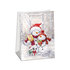 0853-0456 Gift bag PUV