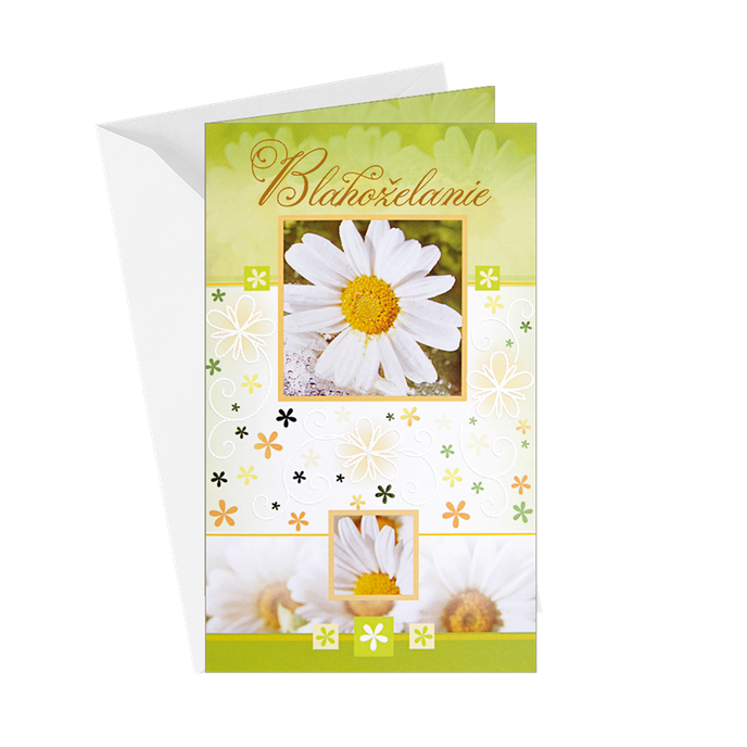 15-6107 Greeting card SK