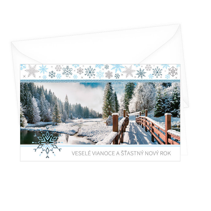 11-6351 Christmas greeting card SK