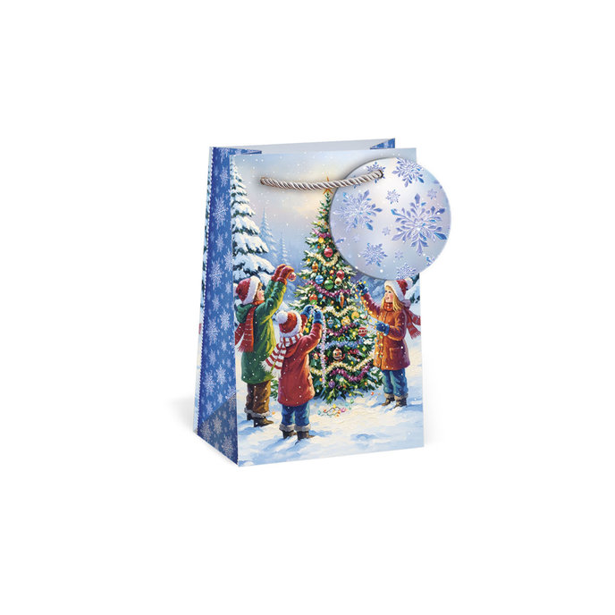 0813-0472 Gift bag