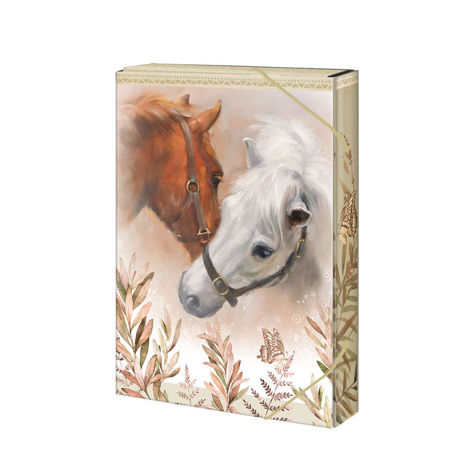 1241-0360 Box na zošity A5 Horses & me