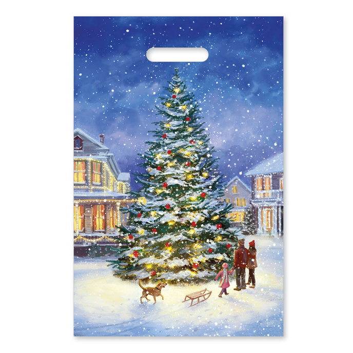 2014-1019 Plastic bag 30x46x9cm, Christmas