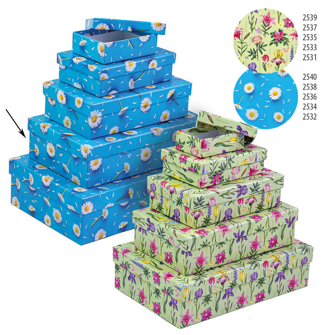 2538-0155 Gift box 22,4x14,4x6,3cm /2500-8155/