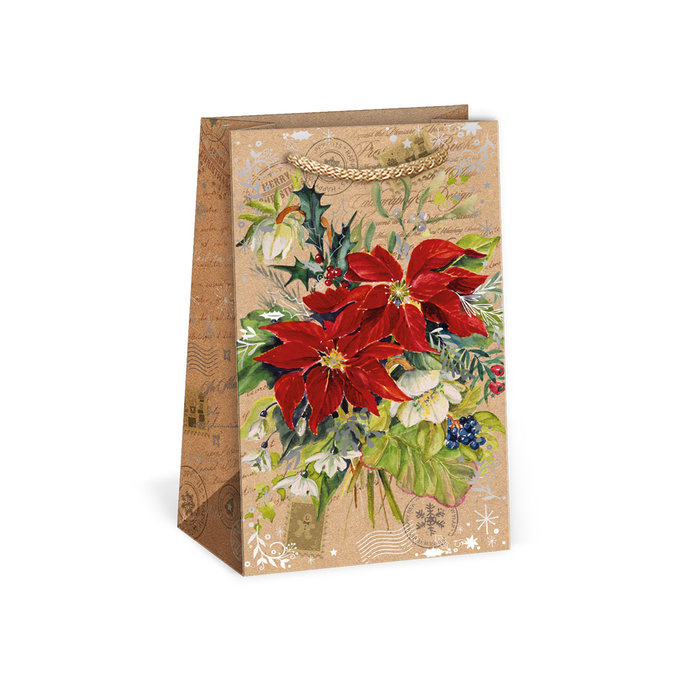 0814-0065 Gift bag NATUR