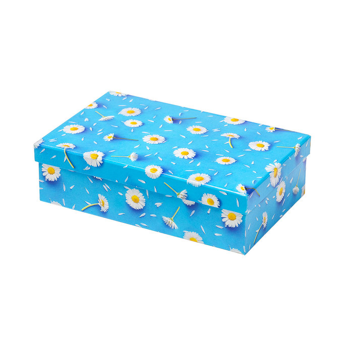 2538-0155 Gift box 22,4x14,4x6,3cm /2500-8155/