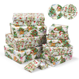 2500-1181 Gift box set 10pcs