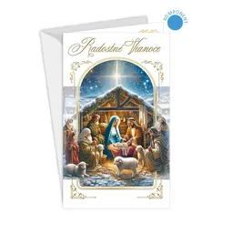 11-6527 Christmas greeting card SK