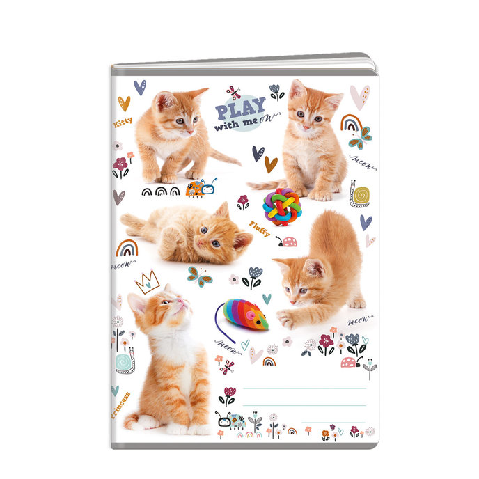 1582-0330 Zošit A4, 40 listov, TYP 444 Cats