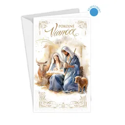11-6528 Christmas greeting card SK