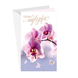 15-6539 Greeting card SK