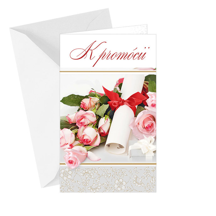 18-693 Graduation greeting card SK