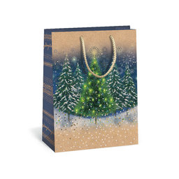 0844-0046 Gift bag NATUR