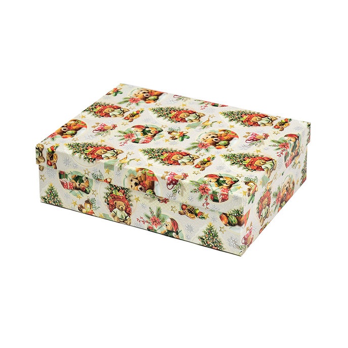 2538-1173 Gift box 22,4x14,4x6,3cm /2500-1173/