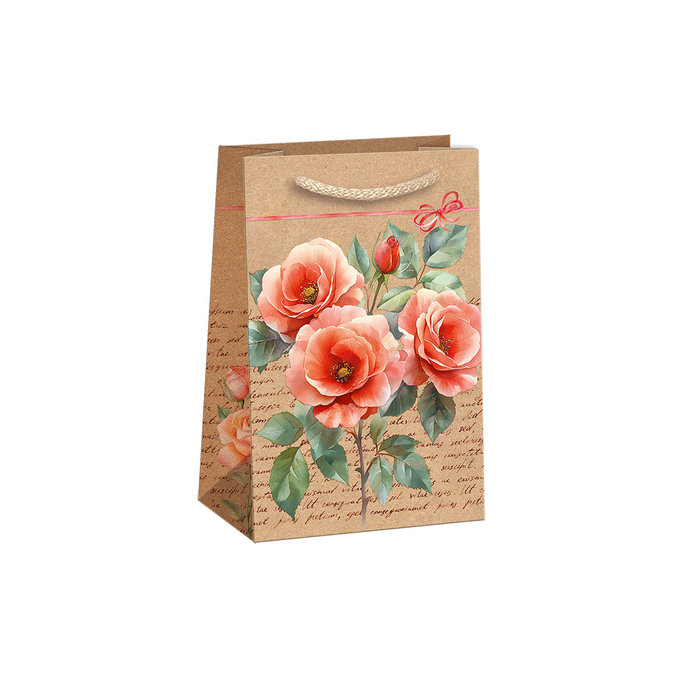 0714-0147 Gift bag NATUR