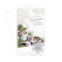 11-6377 Christmas greeting card SK