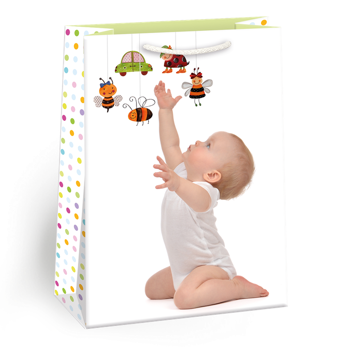 0797-0608 H Gift bag