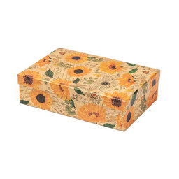 2538-0159 Gift box 22,4x14,4x6,3cm /2500-8159/