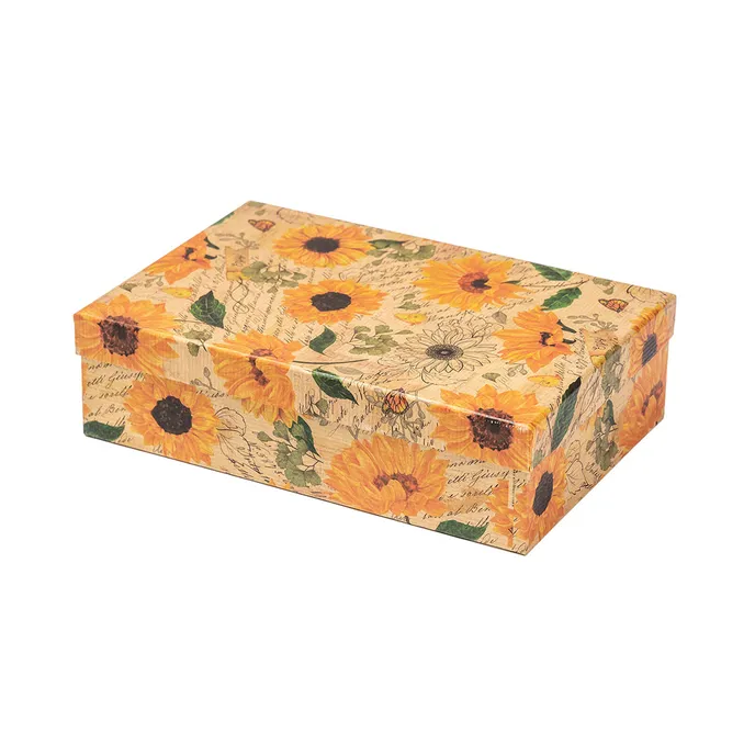 2538-0159 Darčeková krabica 22,4x14,4x6,3cm /2500-8159/