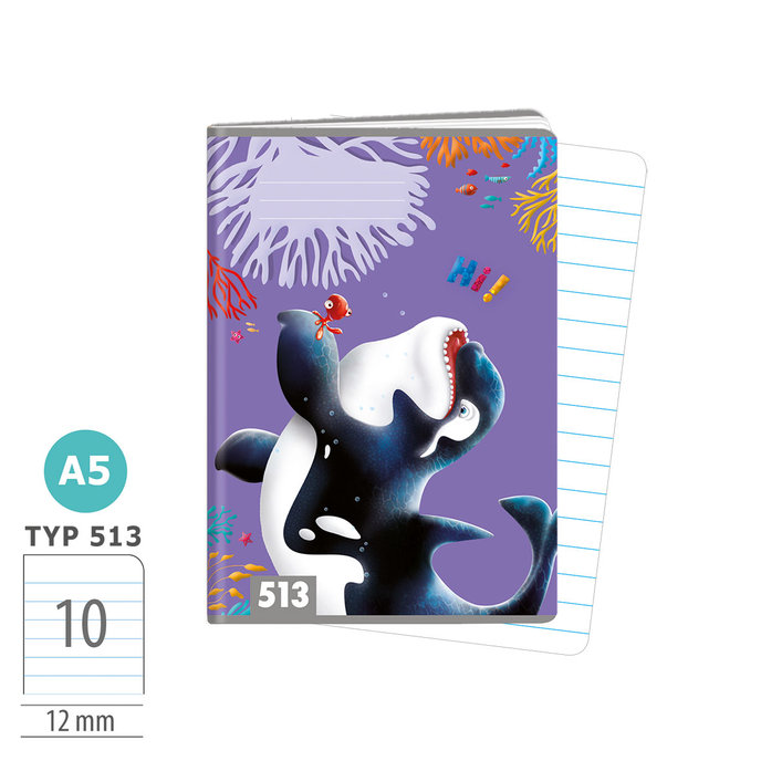 1594-0362 Zošit A5, 10 listov, TYP 513 Hi!