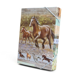1241-0414 Box na zošity A5 Wild horses