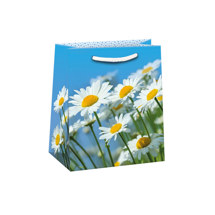 0747-0696 Gift bag