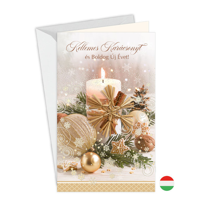 11-6423 Christmas greeting card with leap HU