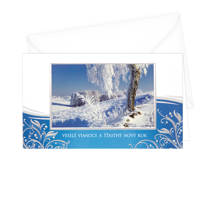 11-6259 Christmas greeting card SK